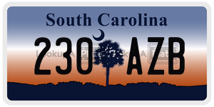 230AZB license plate in South Carolina