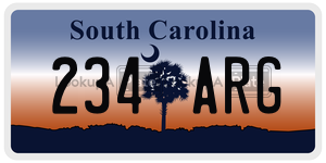 234ARG license plate in South Carolina
