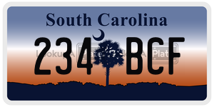 234BCF license plate in South Carolina