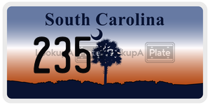 235  license plate in SC