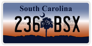 236BSX  license plate in SC
