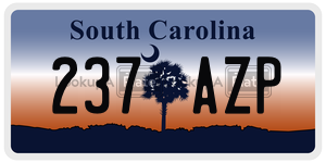 237AZP license plate in South Carolina