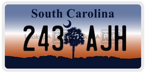 243AJH  license plate in SC