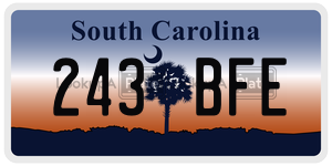 243BFE  license plate in SC
