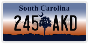 245AKD license plate in South Carolina