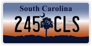 245CLS license plate in South Carolina