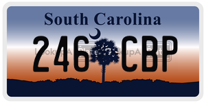 246CBP  license plate in SC