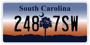 2487SW  license plate in SC