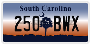250BWX license plate in South Carolina