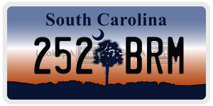 252BRM  license plate in SC