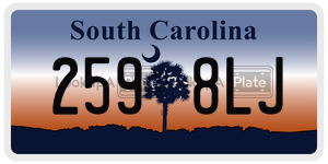 2598LJ license plate in South Carolina