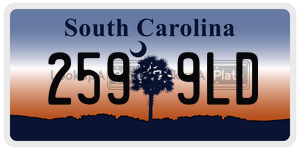 2599LD license plate in South Carolina