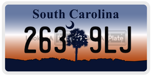 2639LJ license plate in South Carolina