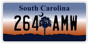 264AMW license plate in South Carolina