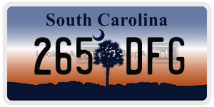 265DFG  license plate in SC