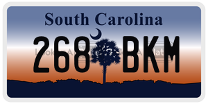 268BKM license plate in South Carolina
