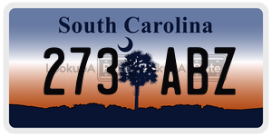 273ABZ  license plate in SC
