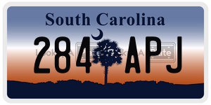 284APJ license plate in South Carolina