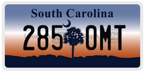 2850MT  license plate in SC