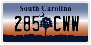 285CWW  license plate in SC
