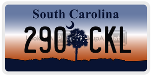 290CKL  license plate in SC