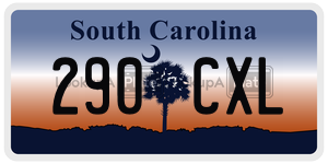 290CXL  license plate in SC