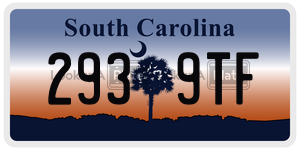 2939TF  license plate in SC