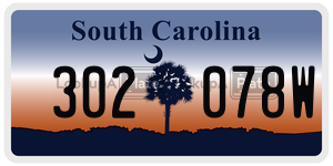 302078W license plate in South Carolina