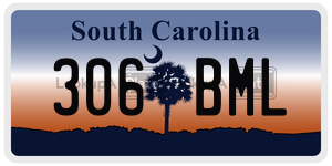 306BML license plate in South Carolina