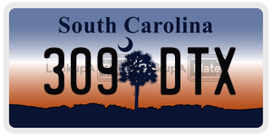 309DTX  license plate in SC