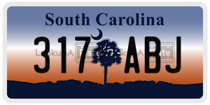 317ABJ  license plate in SC