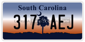 317AEJ  license plate in SC
