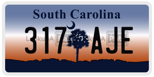 317AJE  license plate in SC
