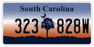 323828W  license plate in SC