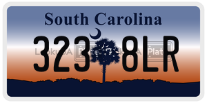 3238LR  license plate in SC