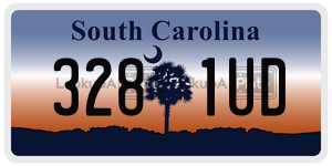 3281UD  license plate in SC