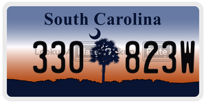 330823W  license plate in SC
