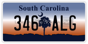 346ALG  license plate in SC