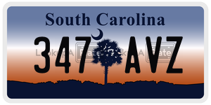 347AVZ license plate in South Carolina
