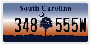 348555W  license plate in SC