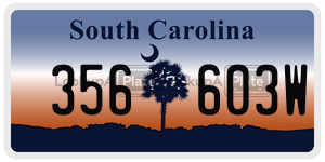 356603W  license plate in SC