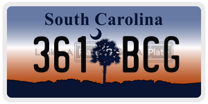 361BCG  license plate in SC