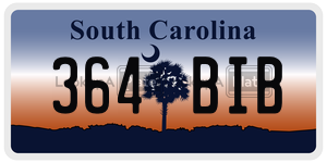 364BIB license plate in South Carolina