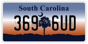 3696UD  license plate in SC