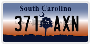 371AXN license plate in South Carolina