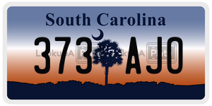 373AJO license plate in South Carolina