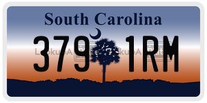 3791RM license plate in South Carolina