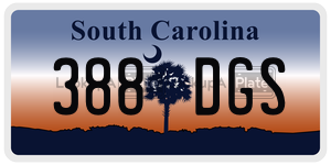388DGS  license plate in SC