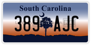 389AJC license plate in South Carolina