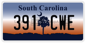 391CWE  license plate in SC